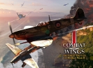 Náhled k programu Combat Wings: The Great Battles of WWII